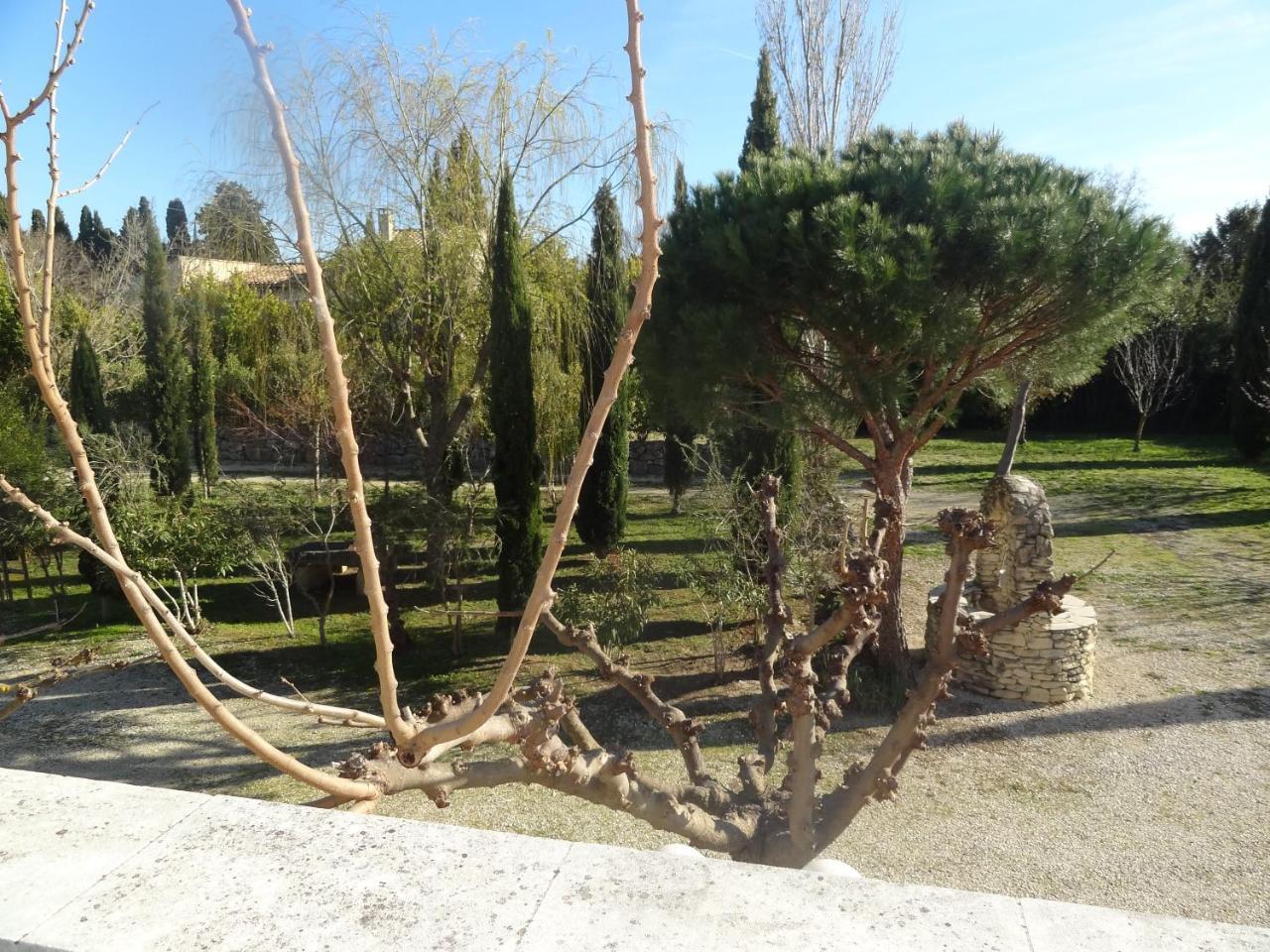 Locations Des Alpilles Saint-Rémy-de-Provence Exterior foto